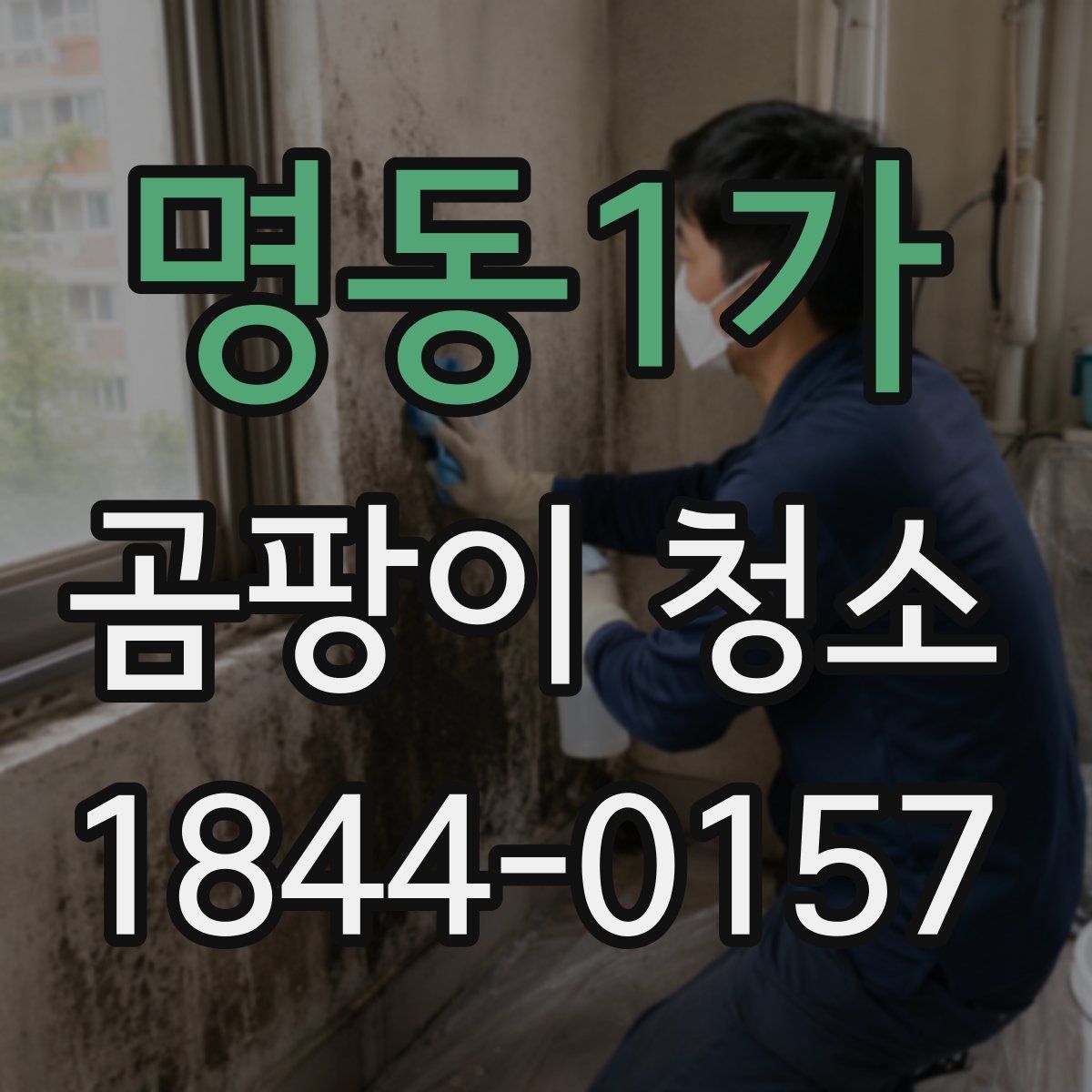 명동1가 곰팡이 청소