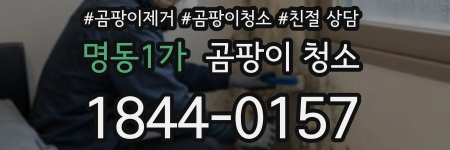 명동1가 곰팡이 청소
