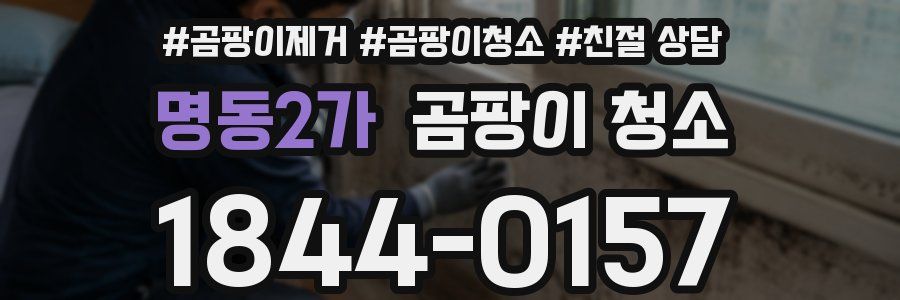 명동2가 곰팡이 청소