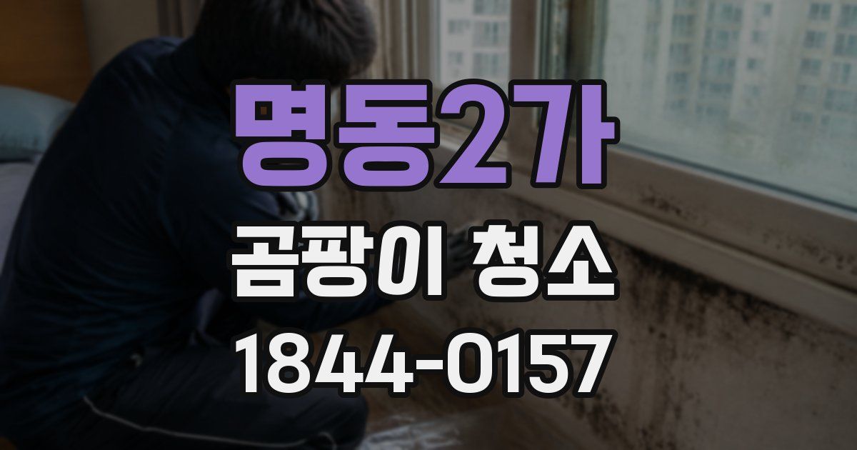 명동2가 곰팡이 청소