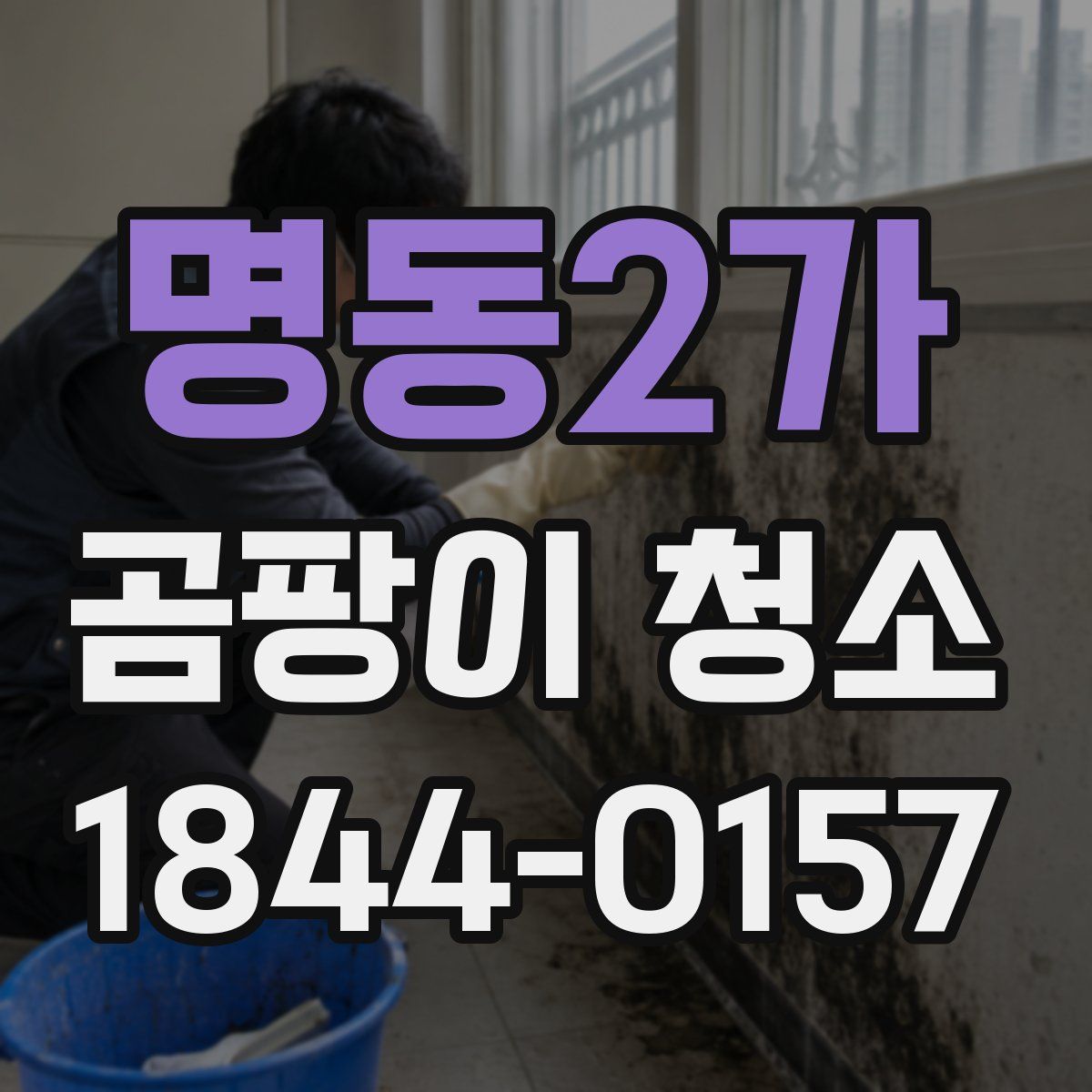 명동2가 곰팡이 청소