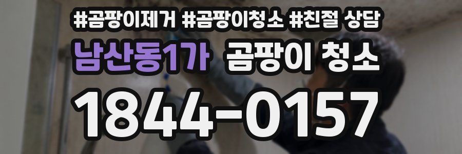 남산동1가 곰팡이 청소