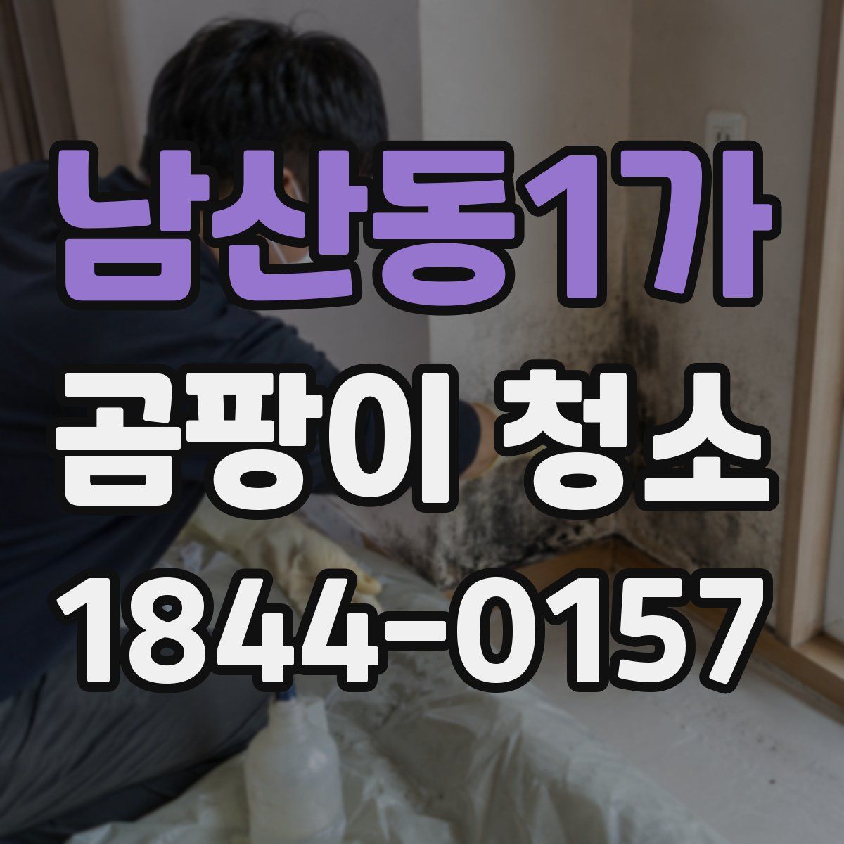 남산동1가 곰팡이 청소