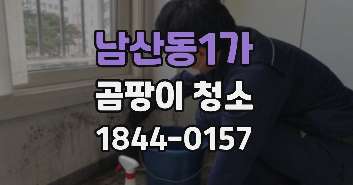 남산동1가 곰팡이 청소
