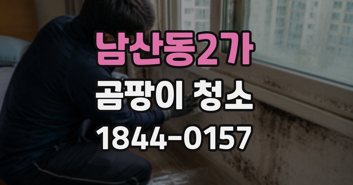 남산동2가 곰팡이 청소
