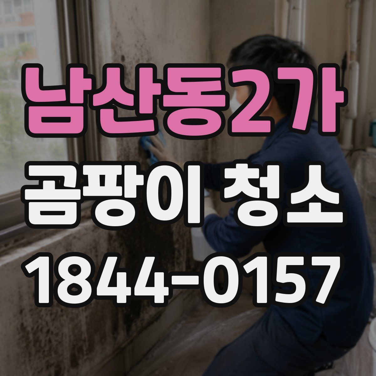 남산동2가 곰팡이 청소