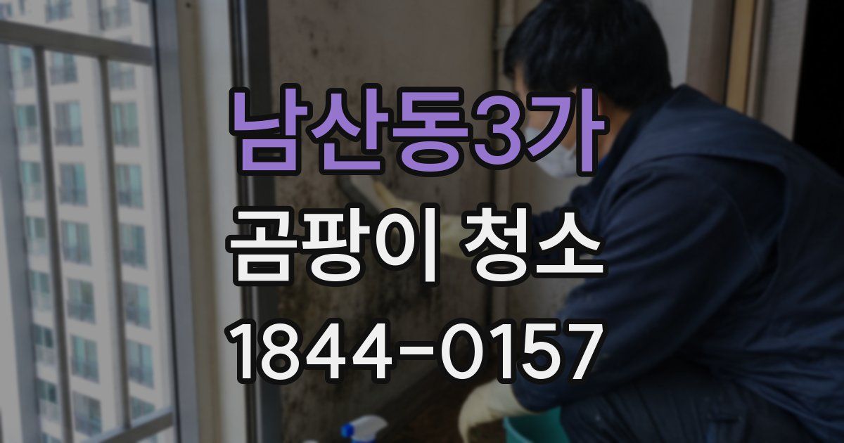 남산동3가 곰팡이 청소