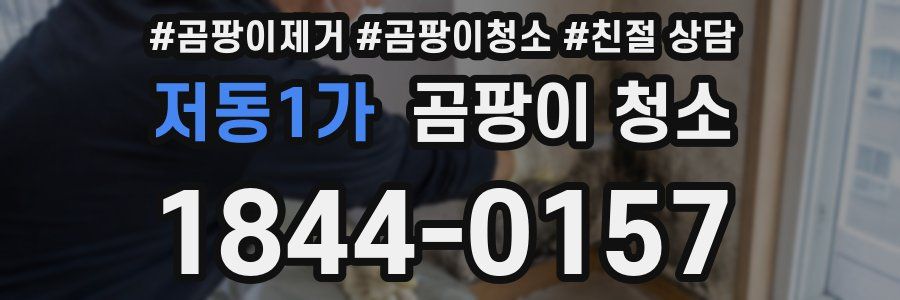 저동1가 곰팡이 청소