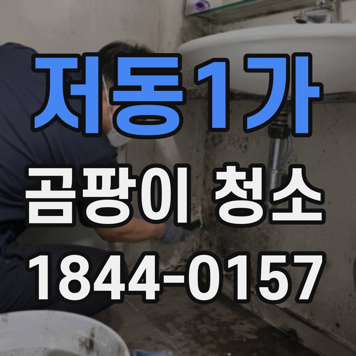 저동1가 곰팡이 청소