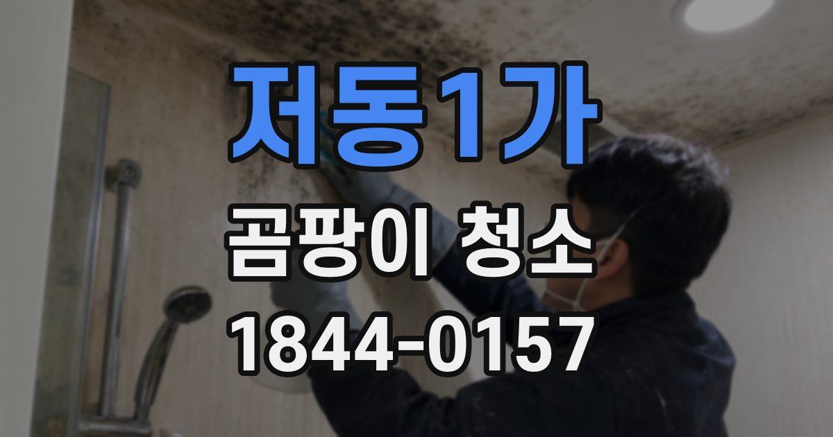 저동1가 곰팡이 청소