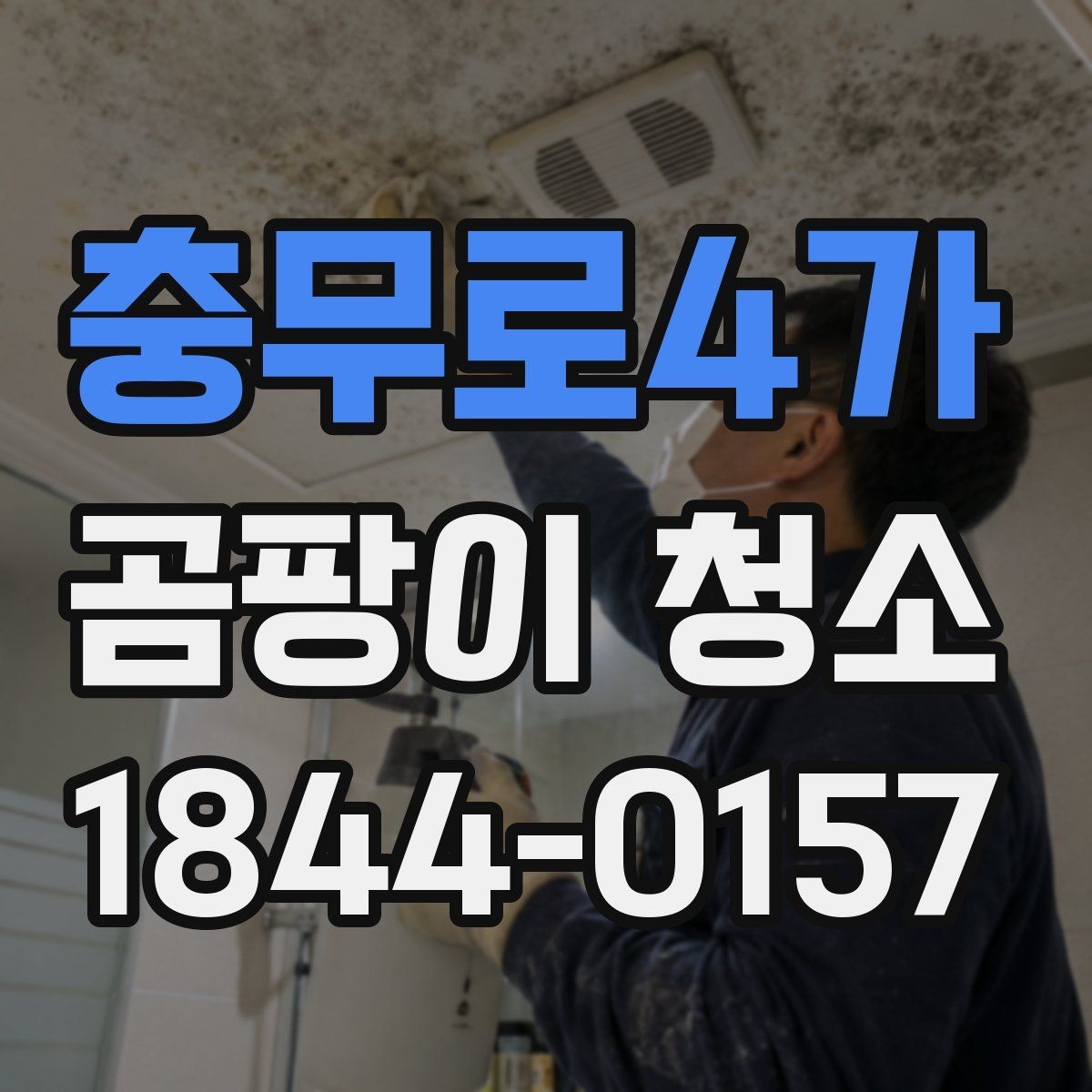 충무로4가 곰팡이 청소 후 재발 방지를 위한 점검