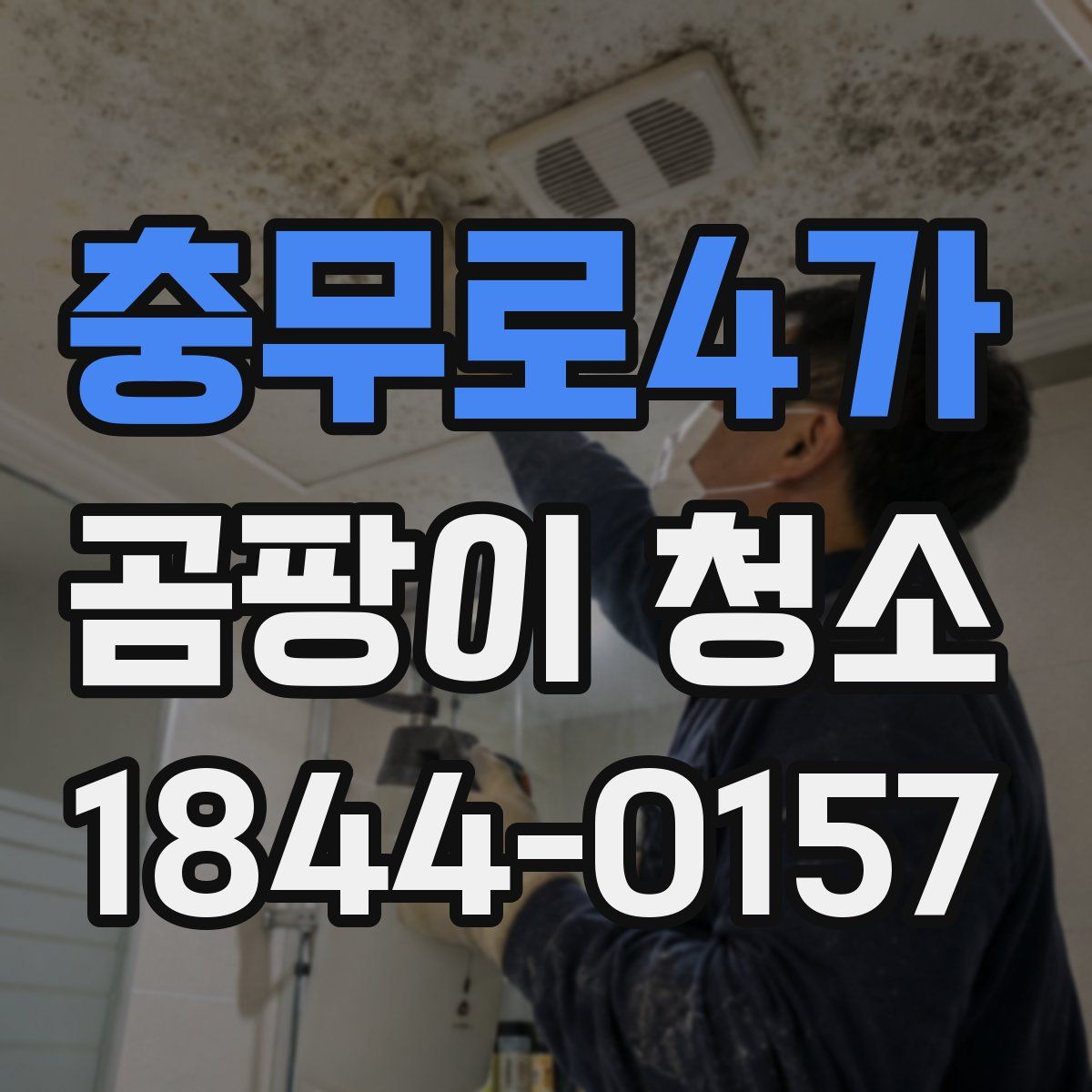 충무로4가 곰팡이 청소