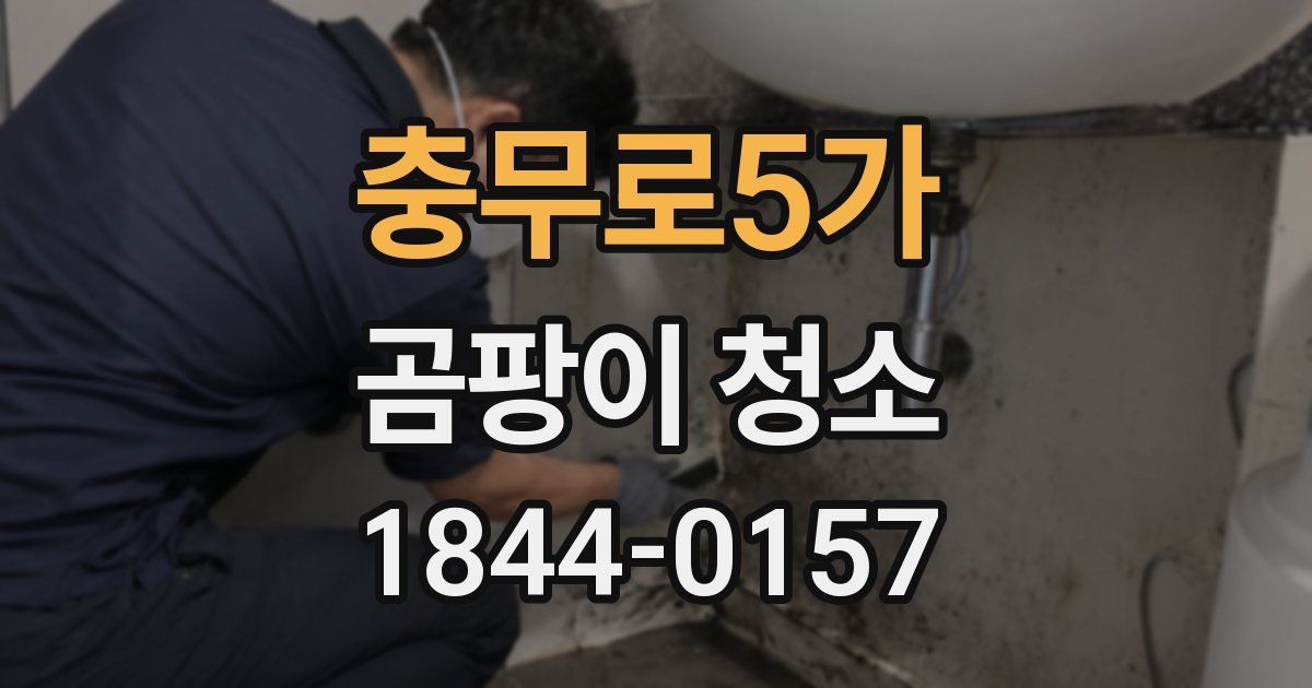 충무로5가 곰팡이 청소