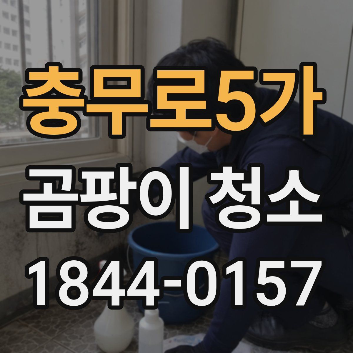 충무로5가 곰팡이 청소