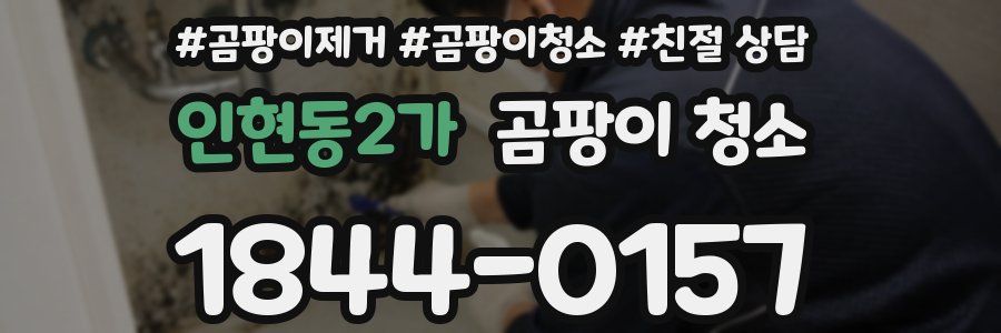 인현동2가 곰팡이 청소