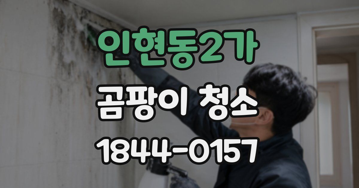 인현동2가 곰팡이 청소