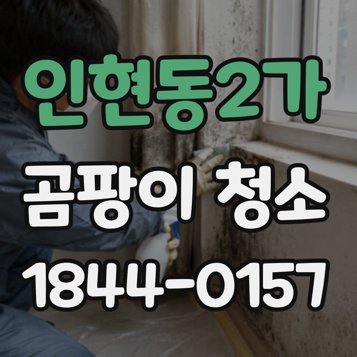 인현동2가 곰팡이 청소