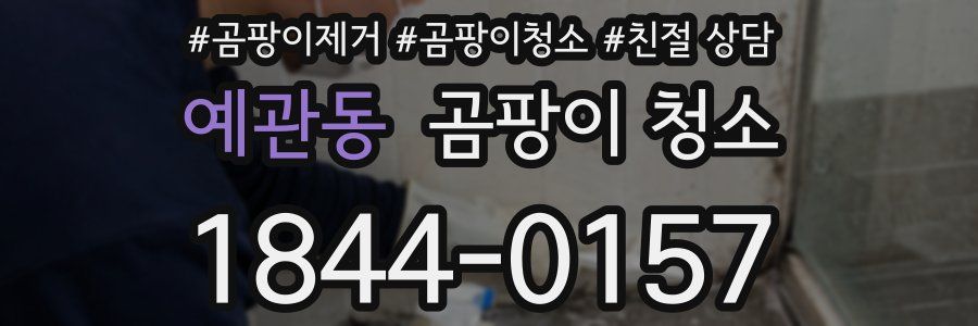 예관동 곰팡이 청소