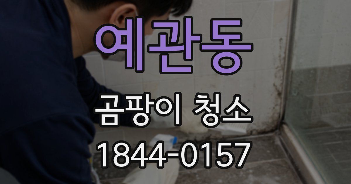 예관동 곰팡이 청소