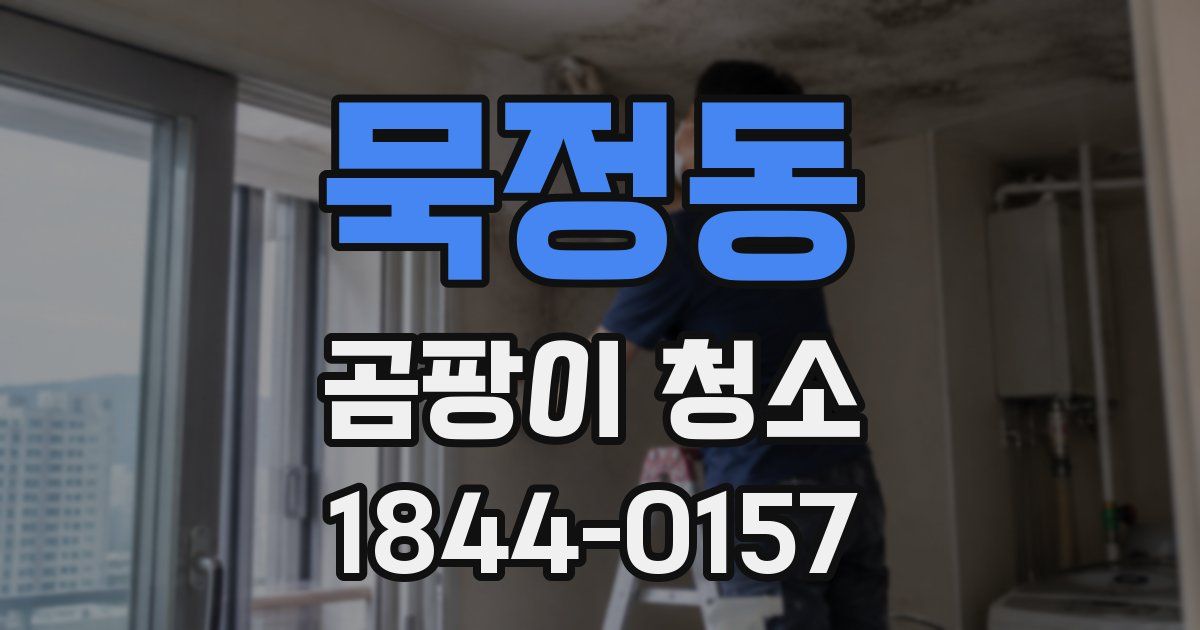 묵정동 곰팡이 청소