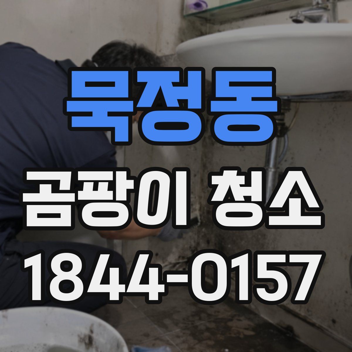 묵정동 곰팡이 청소