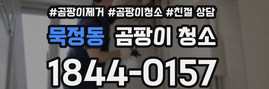 묵정동 곰팡이 청소