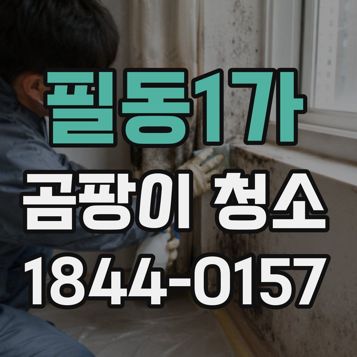 필동1가 곰팡이 청소