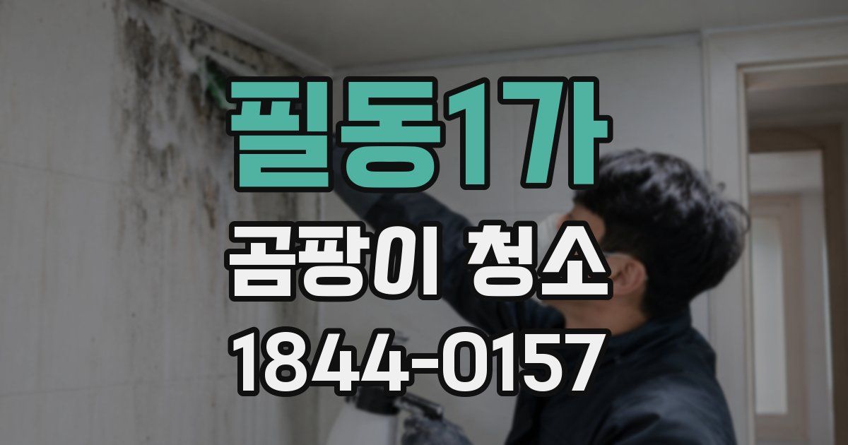 필동1가 곰팡이 청소