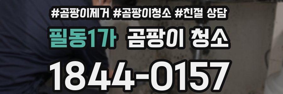 필동1가 곰팡이 청소