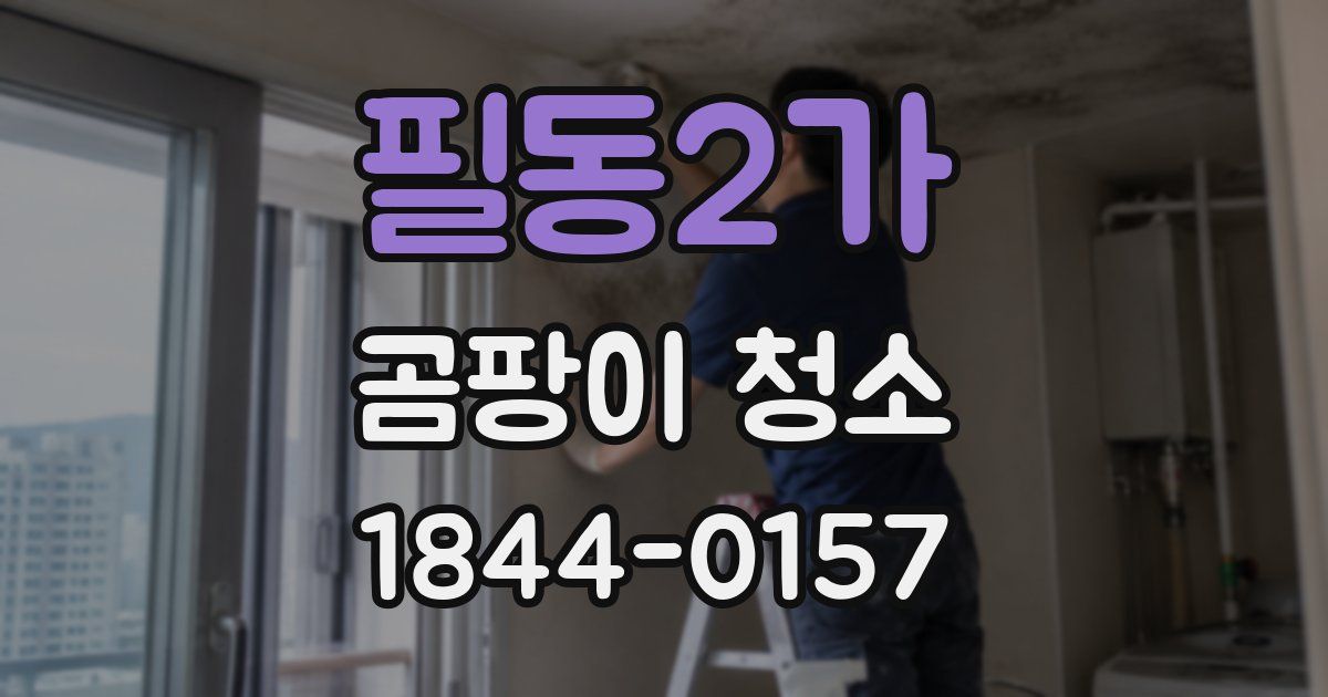 필동2가 곰팡이 청소