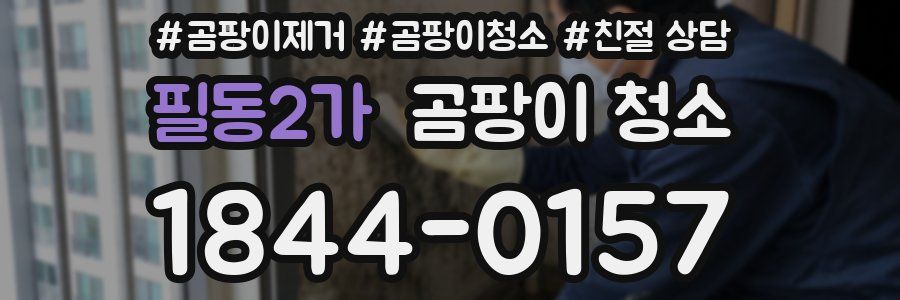 필동2가 곰팡이 청소