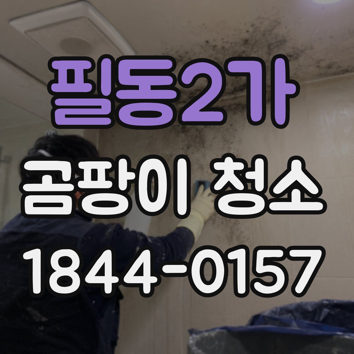 필동2가 곰팡이 청소