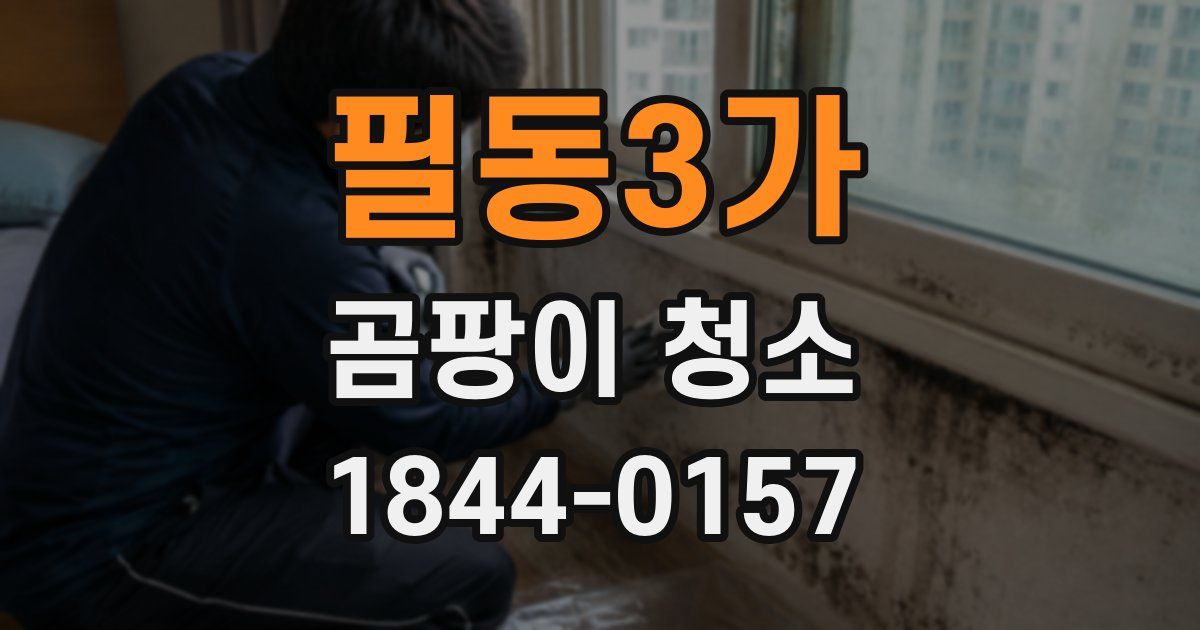 필동3가 곰팡이 청소