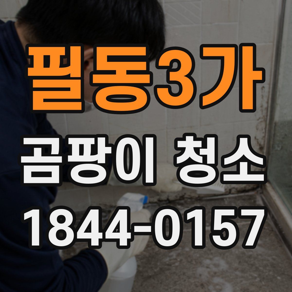 필동3가 곰팡이 청소