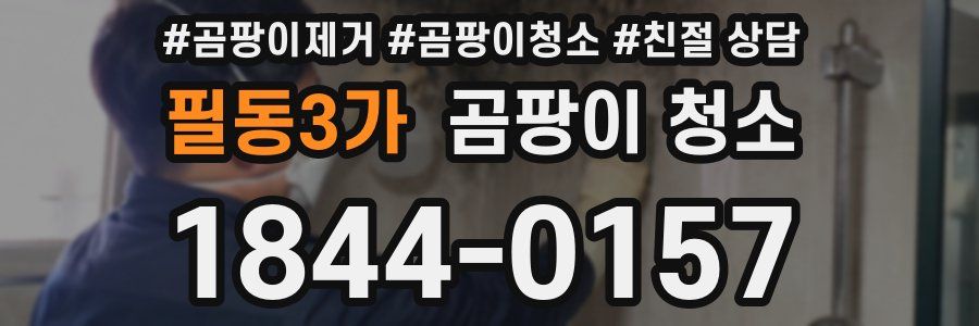 필동3가 곰팡이 청소