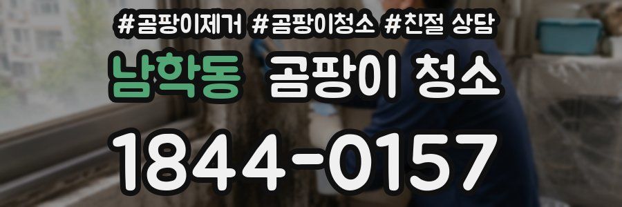 남학동 곰팡이 청소