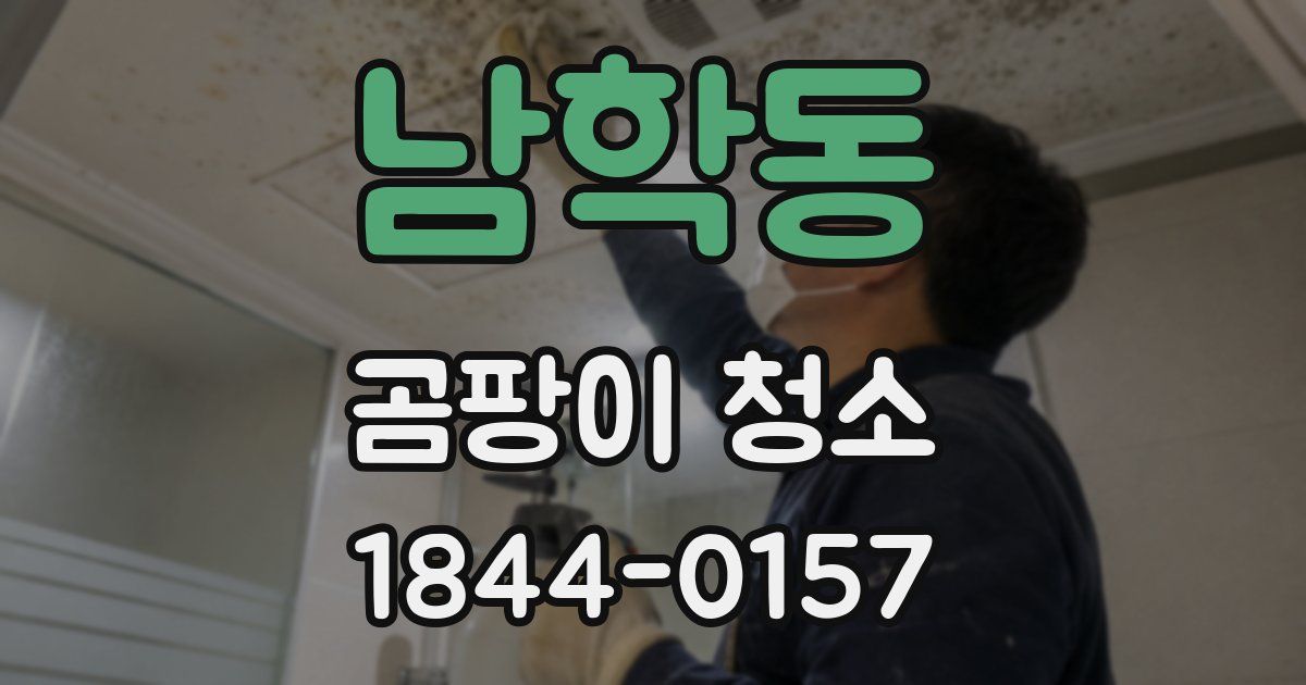 남학동 곰팡이 청소
