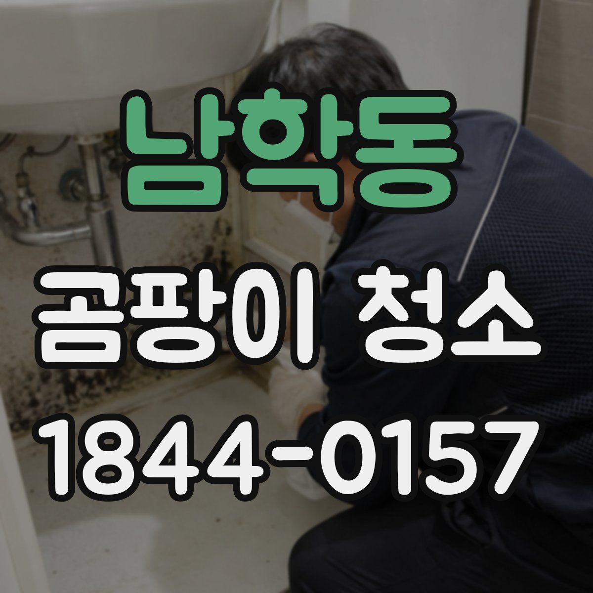 남학동 곰팡이 청소
