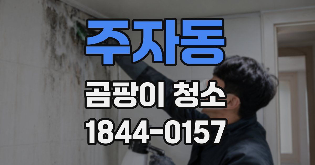 주자동 곰팡이 청소