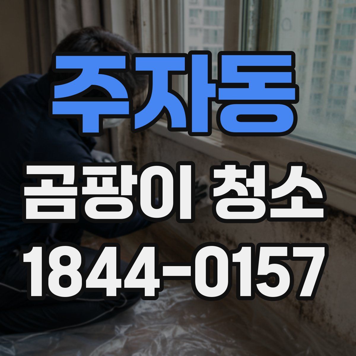 주자동 곰팡이 청소