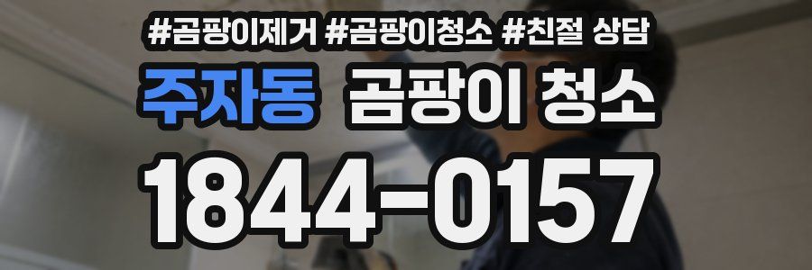 주자동 곰팡이 청소