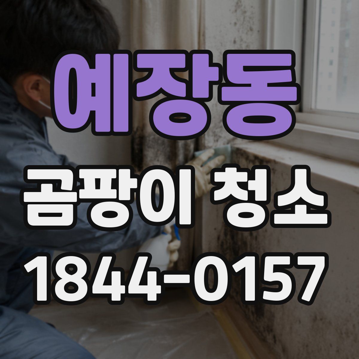 예장동 곰팡이 청소