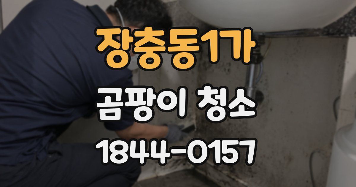 장충동1가 곰팡이 청소