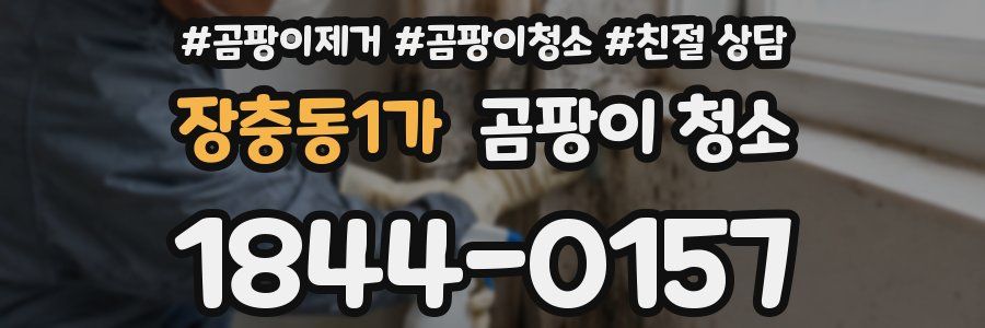 장충동1가 곰팡이 청소