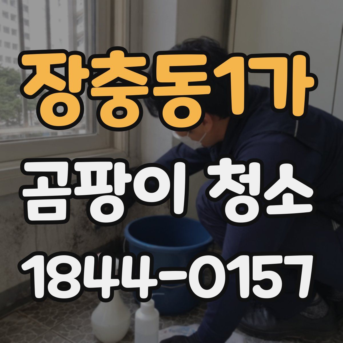 장충동1가 곰팡이 청소