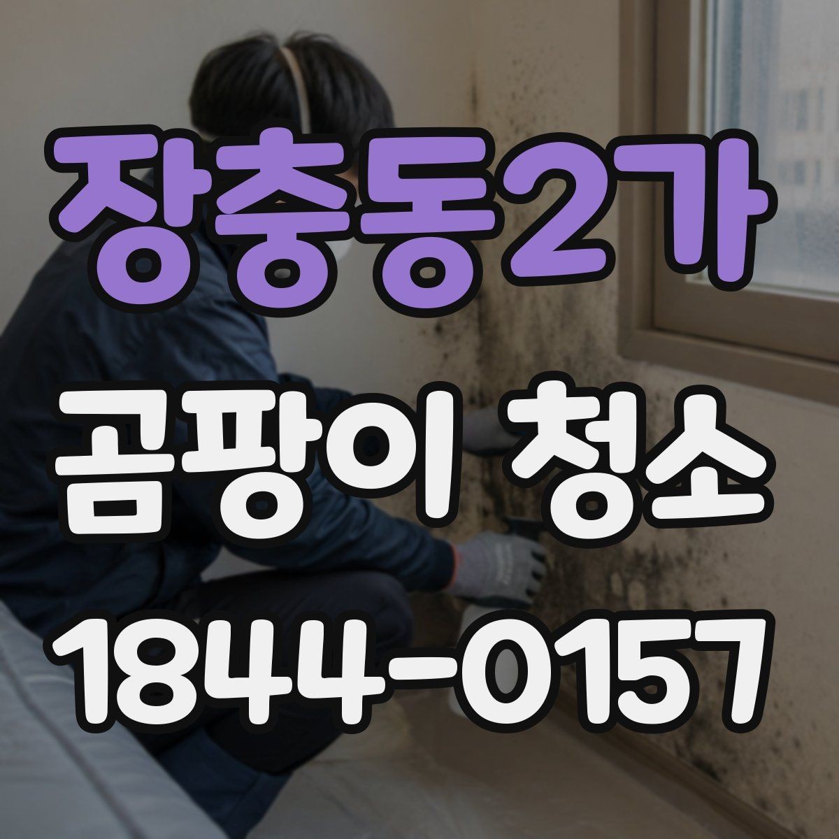 장충동2가 곰팡이 청소 작업 범위와 예산의 관계