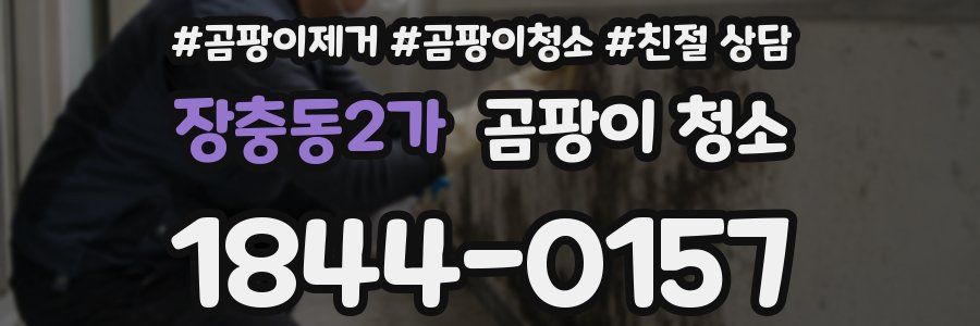 장충동2가 곰팡이 청소