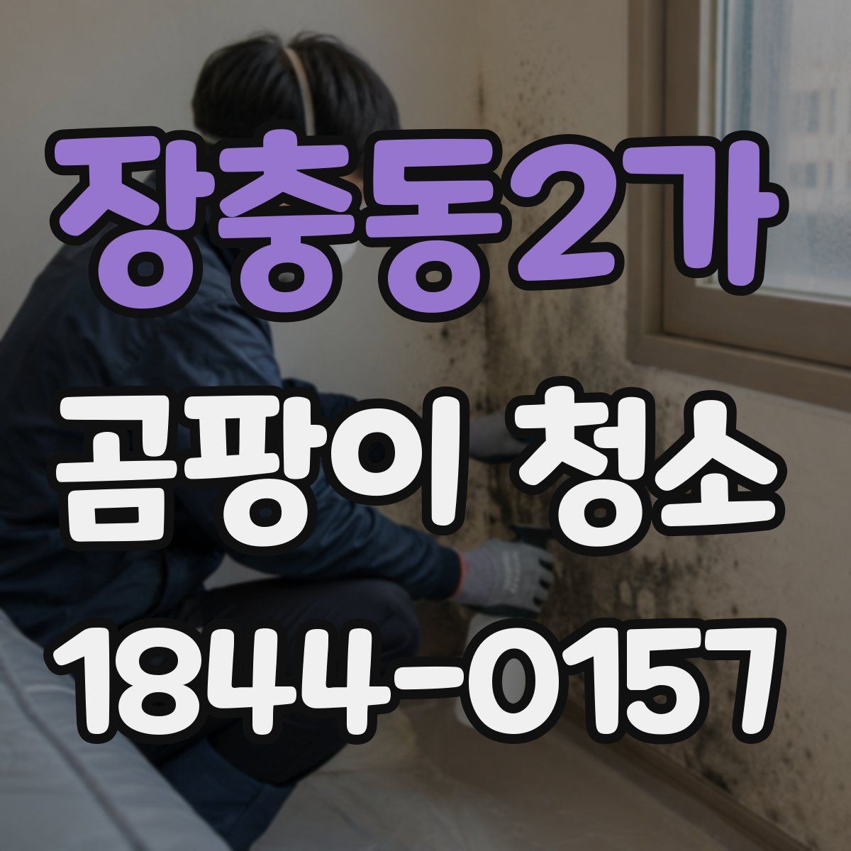 장충동2가 곰팡이 청소