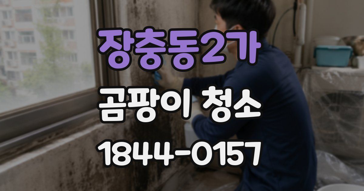 장충동2가 곰팡이 청소