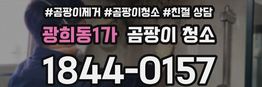 광희동1가 곰팡이 청소